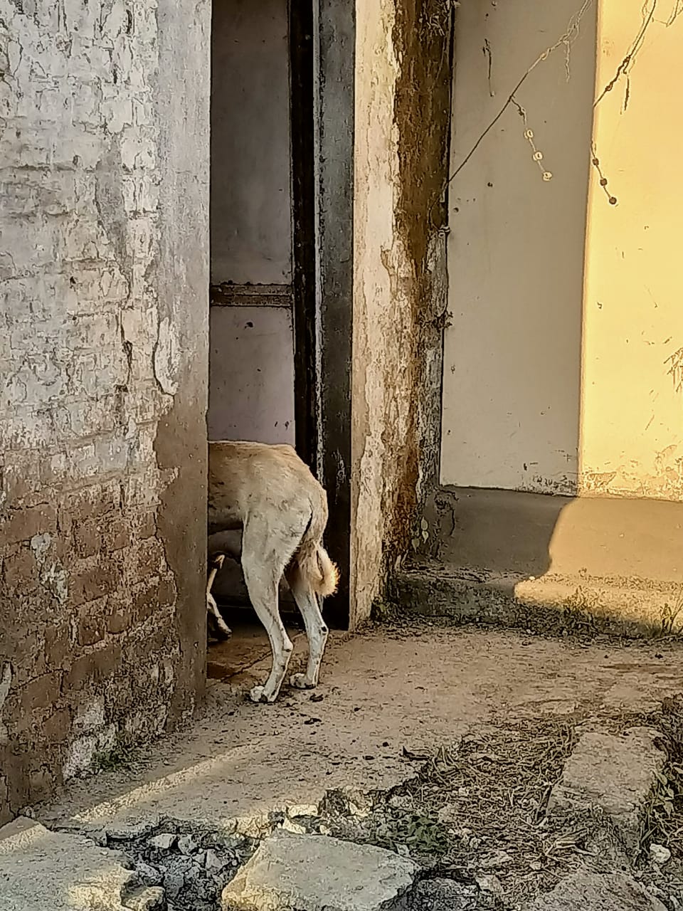 खुद की ज़मीन पर पसरा अतिक्रमण नहीं दिखता, दूसरों की दुकानों पर चला नगर निगम का बुलडोज़र